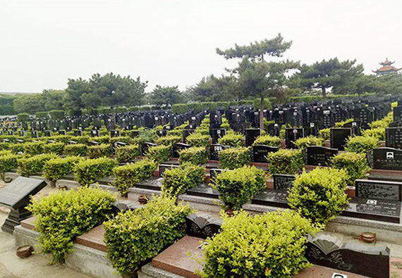 中牟黄龙岗陵园